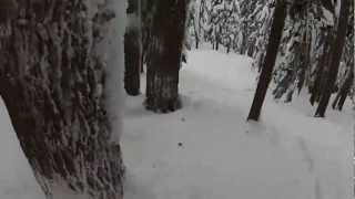 Sled Total 2013 edit