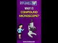 Compound Microscope What Is Compound Microscope Compound Microscope Uses Shorts