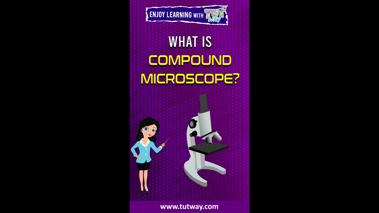 Compound Microscope | What is Compound Microscope? | Compound Microscope Uses 