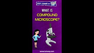 Compound Microscope | What is Compound Microscope? | Compound Microscope Uses #shorts