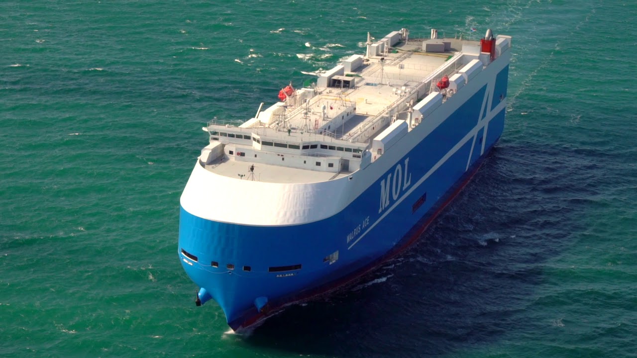 丸子さん予約品Vanwall 丸三タカギ | ヴァント550 ※2024年8月1日発売【2024年版