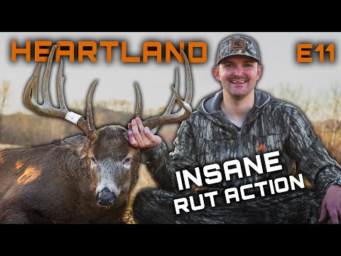 Bow Hunting An ANGRY Buck, Magical Iowa Rut Hunt #hunting #deerhunting