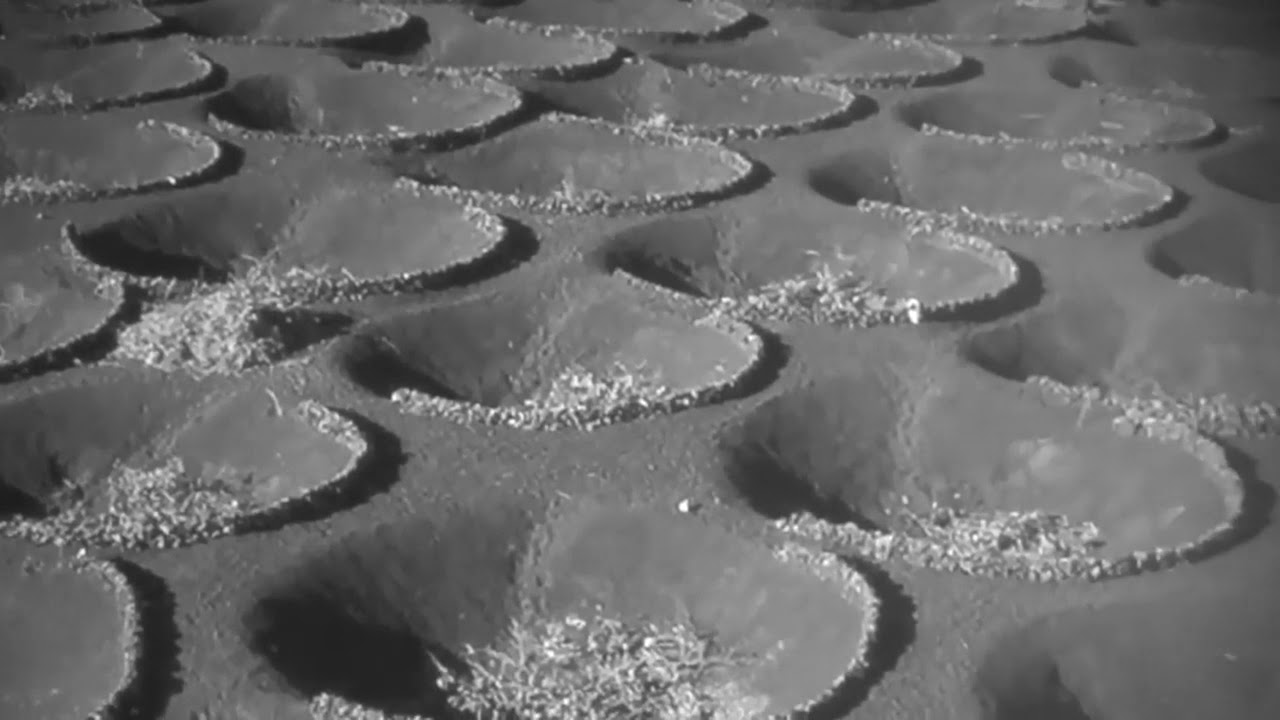 Ancient ALIEN ruins spotted on Mars in official NASA images