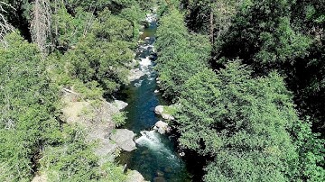 Monitoring Deer Creek Spring-run Chinook Salmon