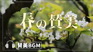 【BGM】春の賛美　癒しと回復の讃美歌・聖歌