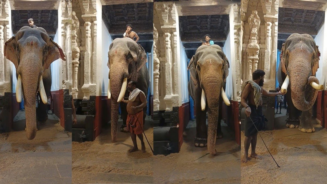 മലയാളത്തിലെ സൂപ്പർ താരങ്ങൾ ഒരുമിച്ചപ്പോൾ ❤️