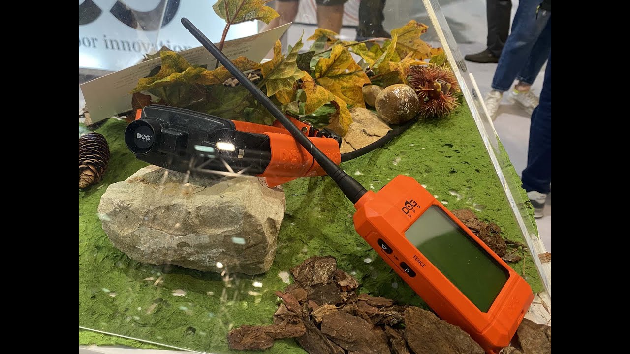 C&C Hunting e i collari Dogtrace… a tutto cane!