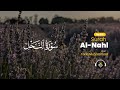 Tariq Muhammad طارق محمد I Surah Al Nahl سوره النحل 