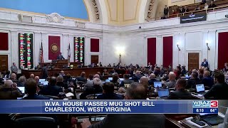 W.Va. House passes mug shot bill