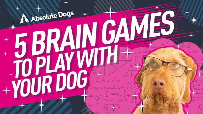 5 Fun Ways to Stimulate Your Dog's Brain – Nature's Animals