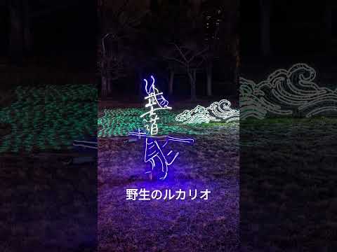 大阪城 ポケモン