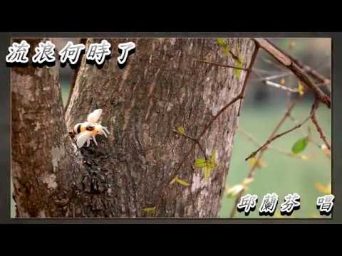 Watch 流浪何時了 邱蘭芬 on YouTube