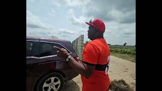 Bushmeat 2