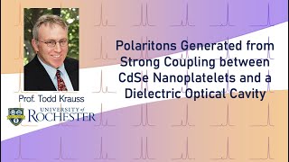 Polaritons Generated from Strong Coupling between CdSe Nanoplatelets and a Dielectric Optical Cavity