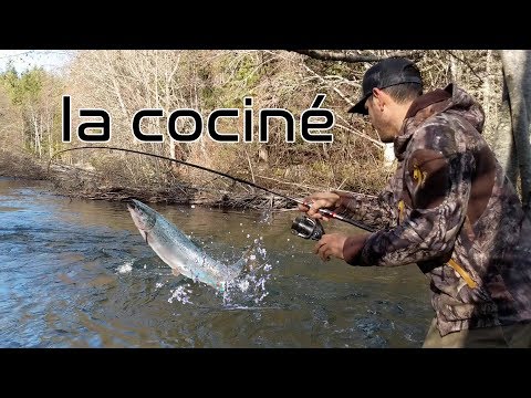 Video: Pesca De Truchas Con Caña Flotante