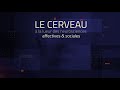 Le cerveau  la lueur des neurosciences affectives  sociales  webformation