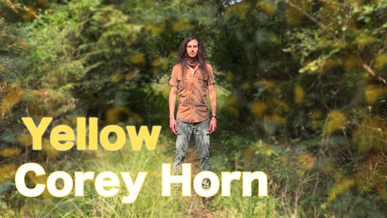 Yellow - Coldplay | Corey Horn Cover