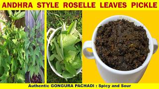 Traditional Roselle Leaves Pickle# Spicy Gongura Achar# Andhra Gongura Chutney#Village Style Gongura