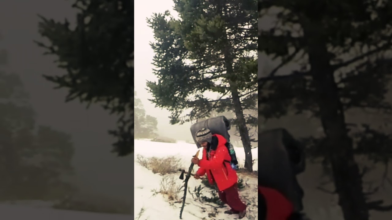 tough snow trek stick for walking help 