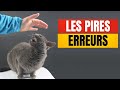 20 erreurs frquentes que font les propritaires de chats  incroyablement top