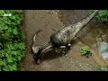 Stegosaurus vs Allosaurus Face-Off | Walking with Dinosaurs (1999) | BBC Earth