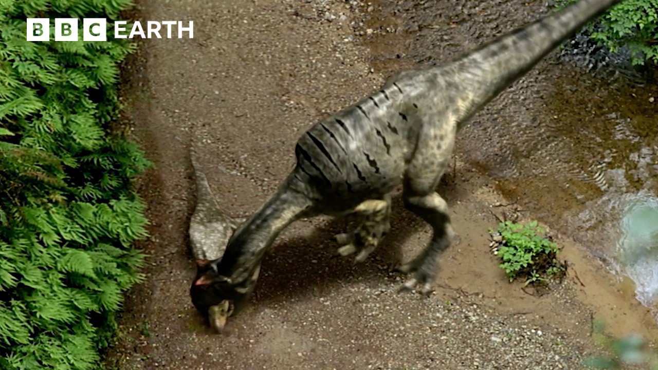 Stegosaurus vs Allosaurus Face-Off | Walking with Dinosaurs (1999) | BBC Earth
