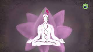 How to Develop Intuition  Sadhguru Answers