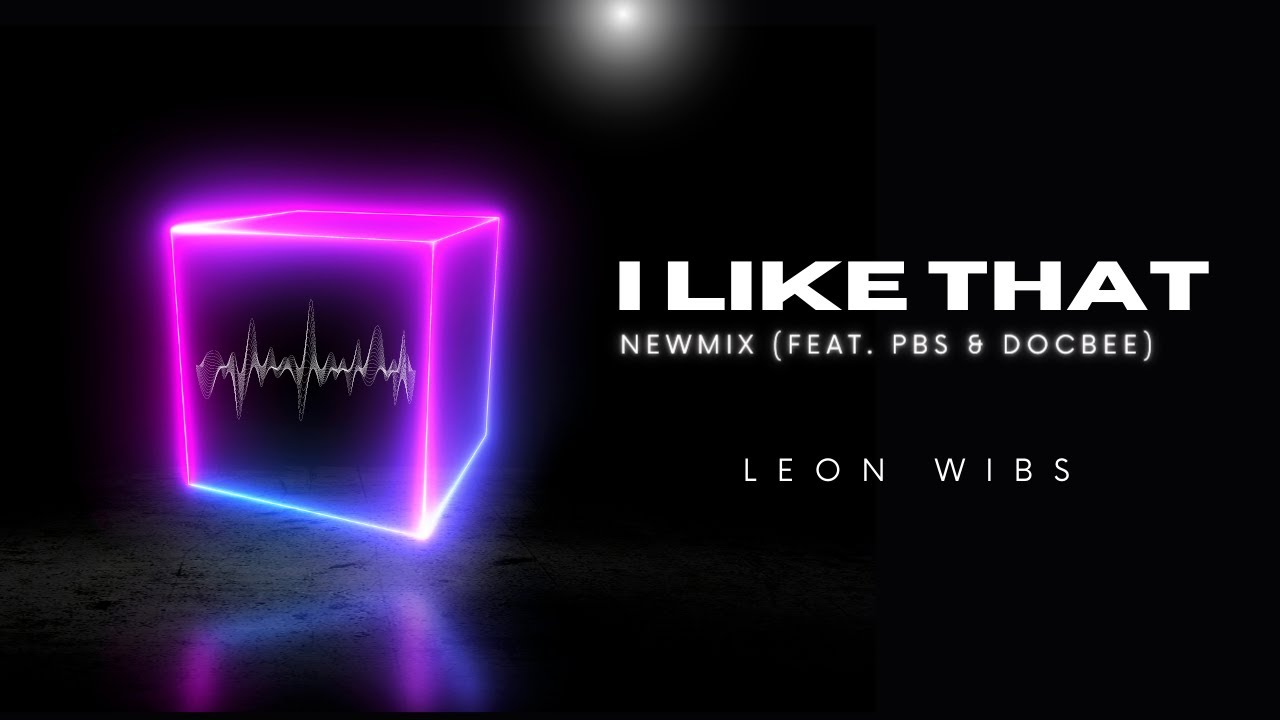Leon Wibs (feat. PBS & Docbee) - I like that Newmix