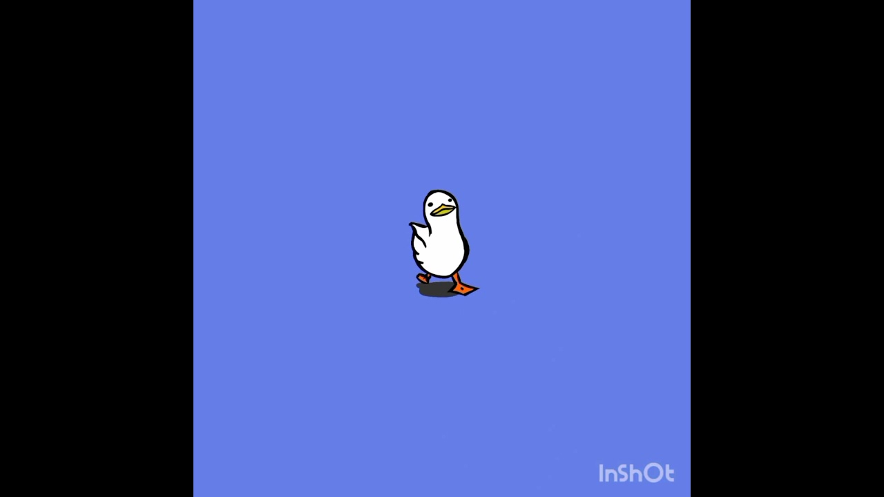 cute duck walking 👣👣😘😘🥰❤