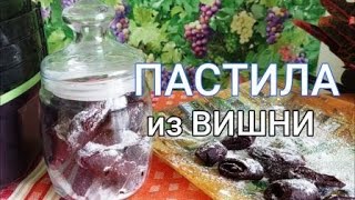 видео: ПАСТИЛА из ВИШНИ в СУШИЛКЕ 🍎СВЕТОФОР в ПОМОЩЬ 🚦МОЙ ПЕРВЫЙ ОПЫТ картинка: ПАСТИЛА из ВИШНИ в СУШИЛКЕ 🍎СВЕТОФОР в ПОМОЩЬ 🚦МОЙ ПЕРВЫЙ ОПЫТ