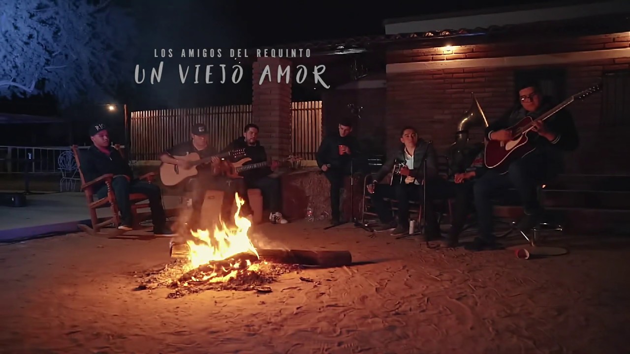 Un Viejo Amor (En Vivo) - Los Amigos Del Requinto