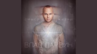 Смысл жизни (feat. Олена Тополя) - Vlad Darwin