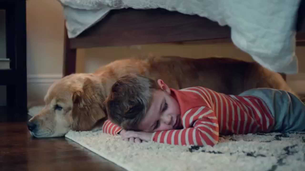 Cleans Everyday Messes | Roomba® 800 series | iRobot®