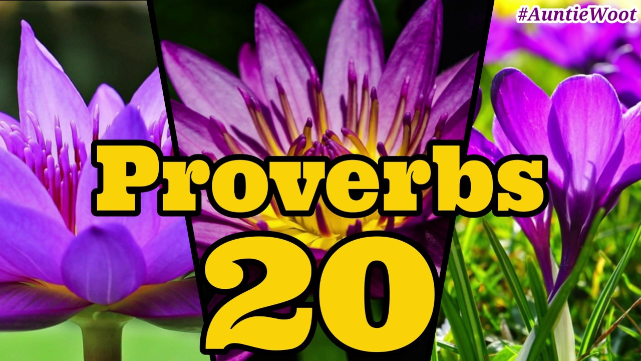 The Book of PROVERBS 20 King James Version read by #AuntieWoot KJV ...