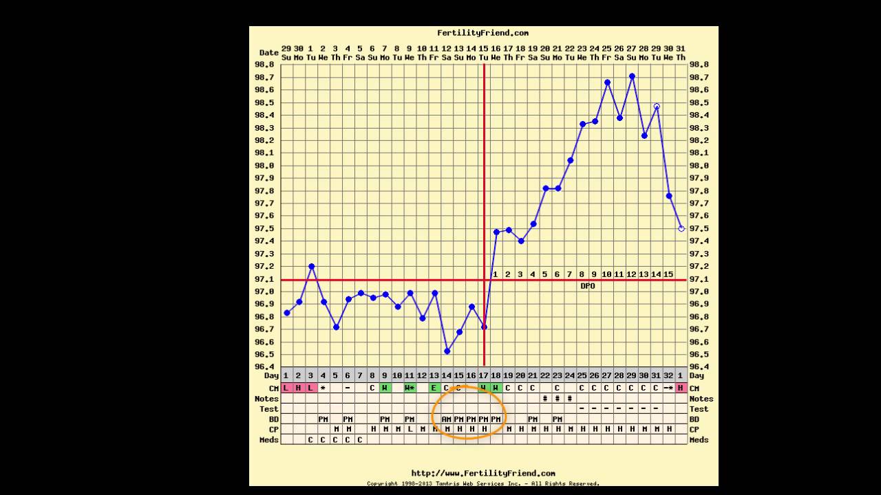 Pregnancy Fertility Chart