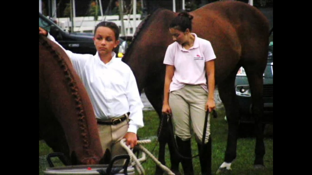 The Bending Line / A few memories