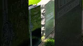 Bible shaped headstone.