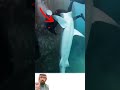 لحظة مفاجئة في أعماق البحر عندما اقتربت سمكة كبيرة من أحد الغواصيناكسبلور لايك Funny 