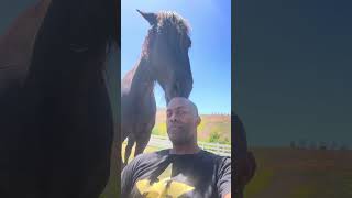 Thank You For Helping Me Preserve This