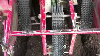PLANTATION PDT 2012