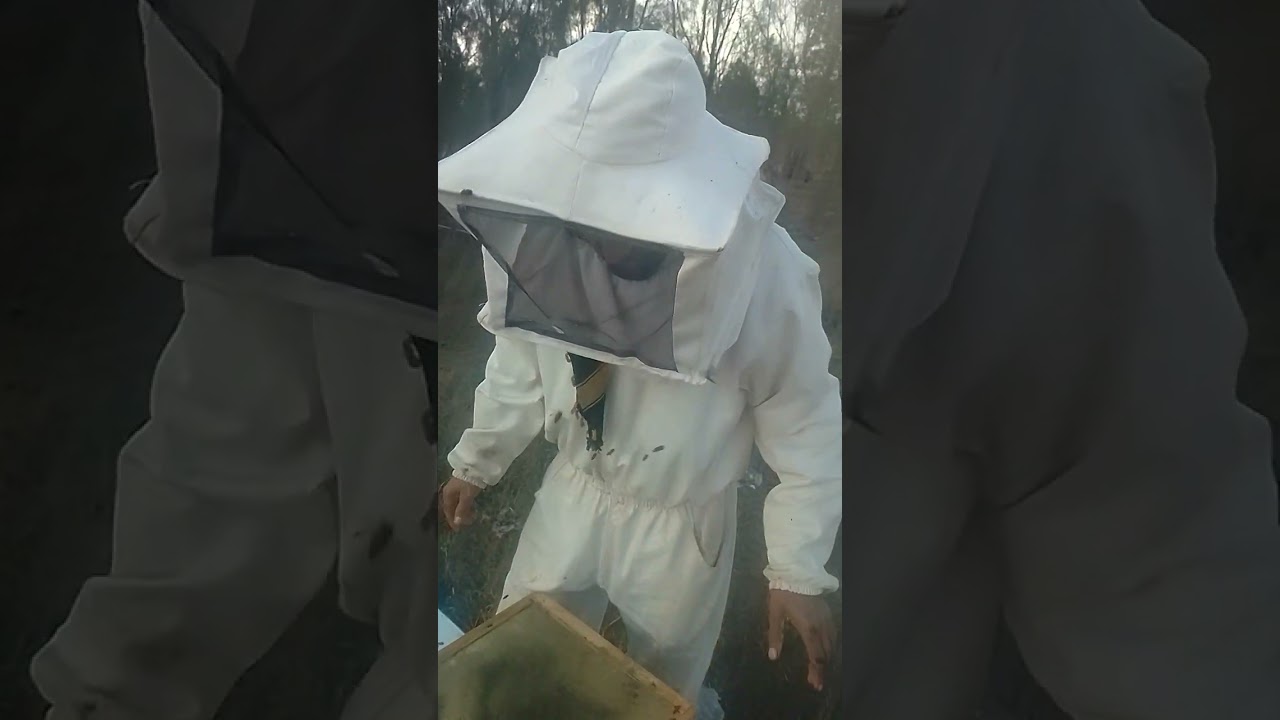 كيفية الإضافة الإطارت في العاسلة