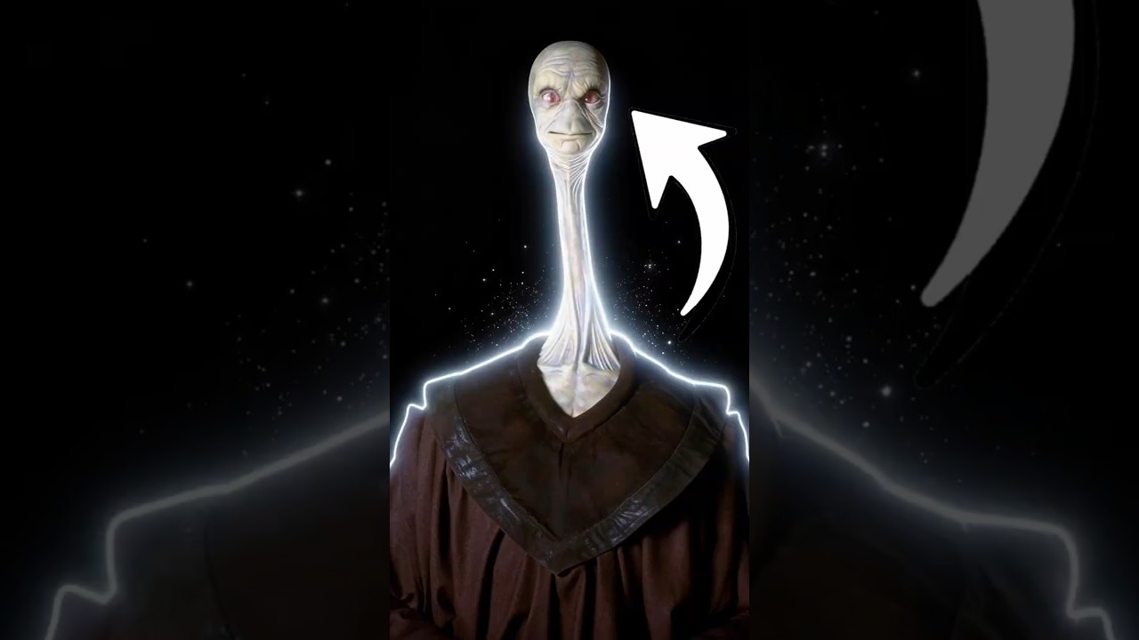 Top 3 YARAEL POOF Facts you didn’t know?