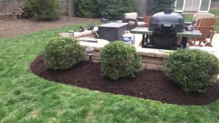 Brown Mulch