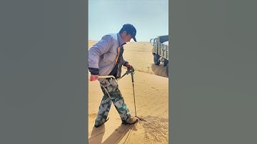 This technique of planting trees in the desert is very popular