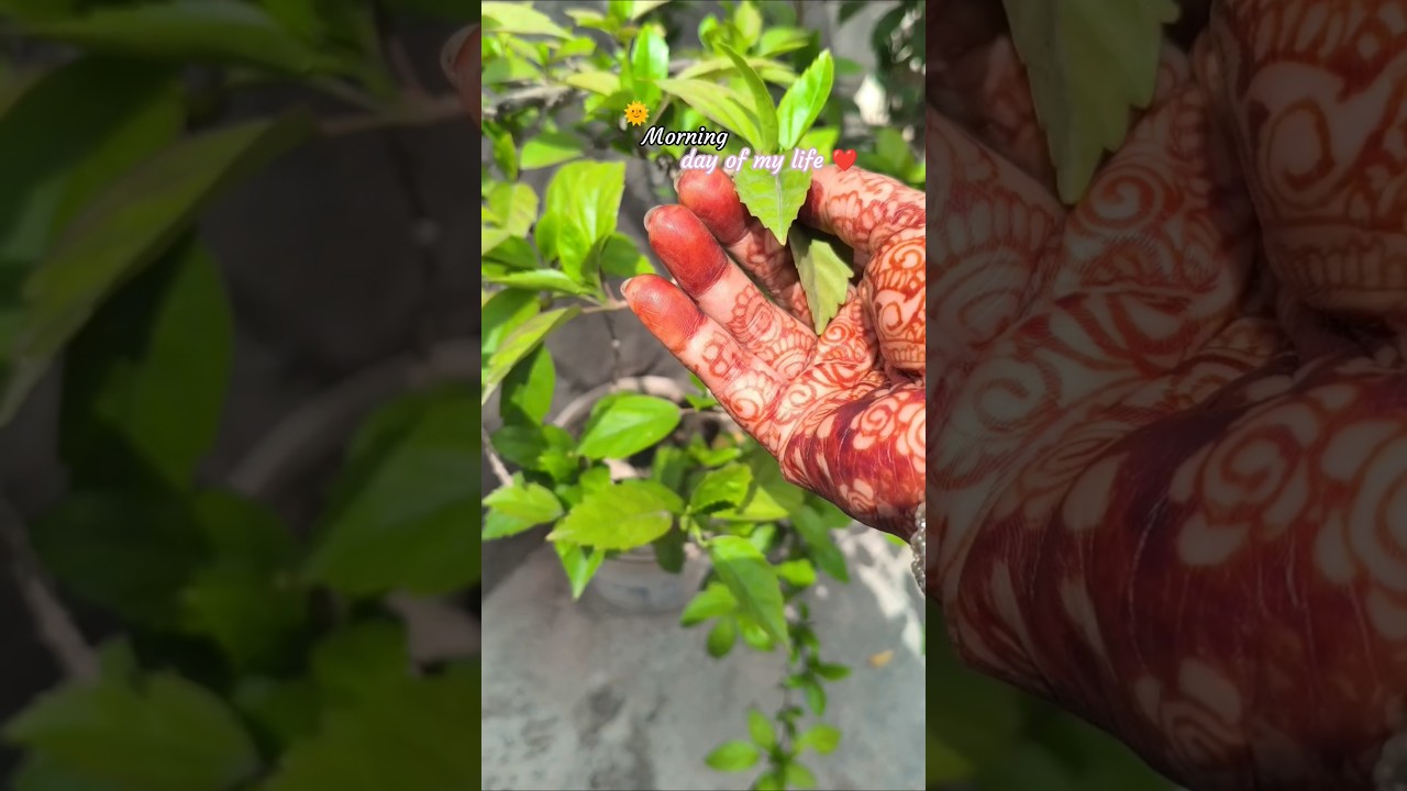 morning Day of my life 💕 | #viral #renukumar official #minivlog #shorts #yt #housewife #trending🌞❤️🪴