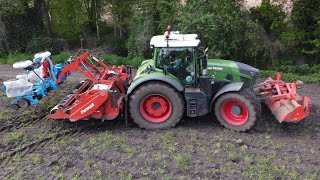 Spading and drilling corn