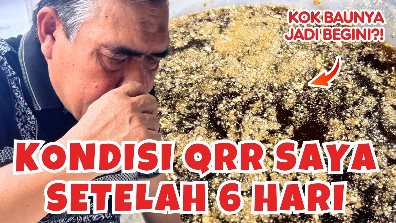 Update Perkembangan Mikroba QRR Saya di Hari ke 6 Setelah Aktivasi