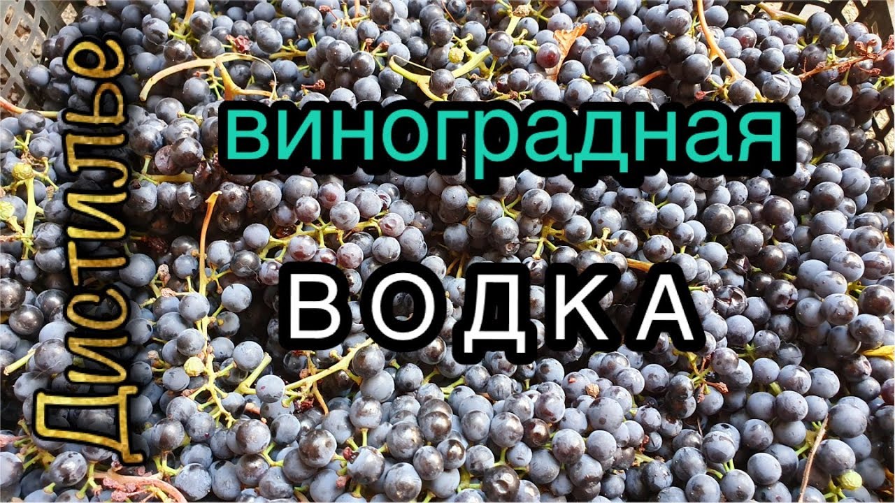 🍇Виноградный бренди 🍷 на Люкссталь 6 с использованием медного шлема