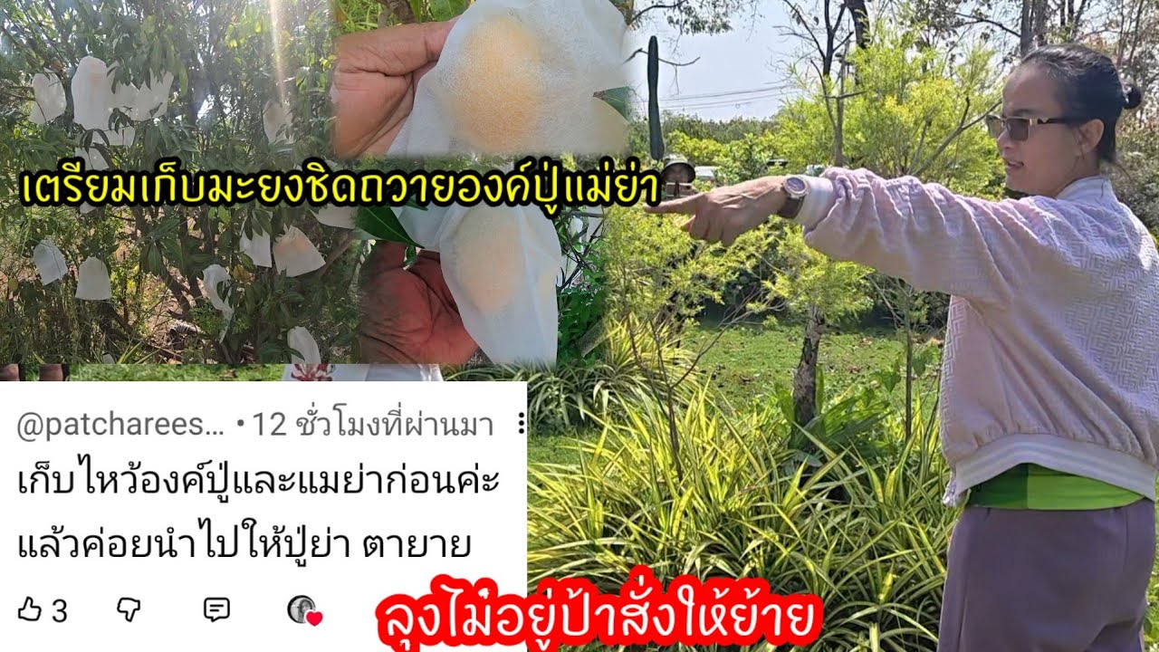 FCให้เก็บถวายองค์ปู่แม่ย่า ลุงไม่อยู่ ป้าแต๋นบอกให้ย้าย🤣