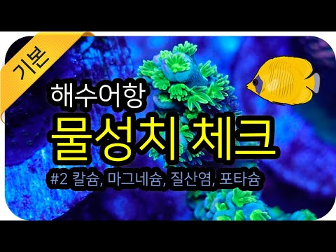 조명 추천